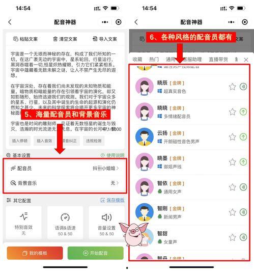 娱乐吃瓜视频的配音软件,揭秘热门配音软件秘籍