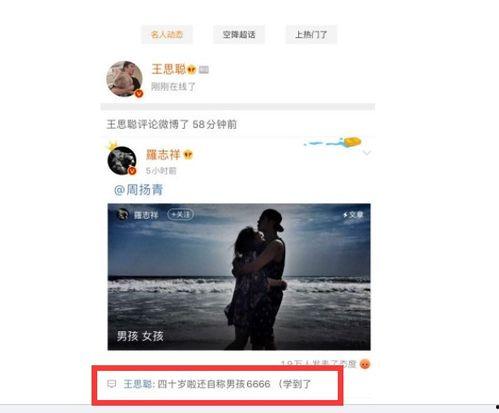 娱乐吃瓜起网络名字,揭秘网络“吃瓜”文化中的创意网名