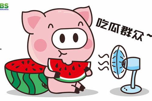 娱乐吃瓜酱素材,从“421文件”到网红八卦，深度解析娱乐吃瓜文化
