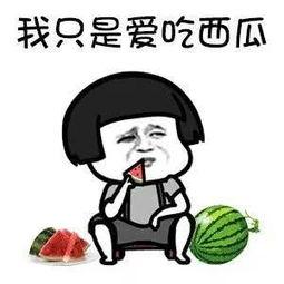 开心吃瓜娱乐,开心吃瓜指南