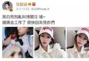 娱乐吃瓜酱考试,揭秘娱乐圈幕后真相