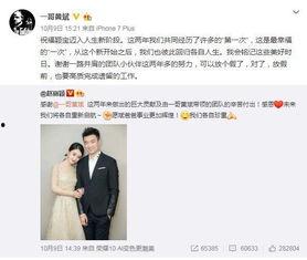 娱乐圈吃瓜元素表赵丽颖,娱乐圈风云变幻中的励志女神