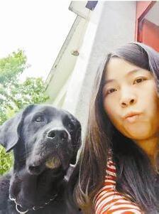 吃瓜娱乐赵小瞒导盲犬,吃瓜娱乐中的温暖瞬间