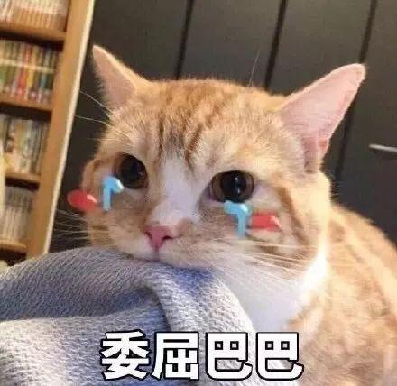 折耳猫娱乐吃瓜君,娱乐吃瓜君与七七的互撕事件深度解析