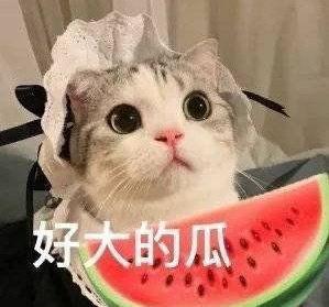 娱乐吃瓜网名女生名字,女生网名风华绝代大盘点