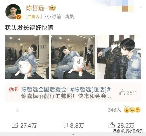 娱乐吃瓜酱换头像,新形象亮相引网友热议