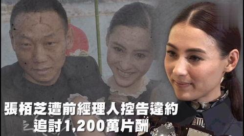 娱乐吃瓜一线,揭秘明星幕后故事