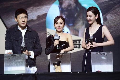 娱乐圈综艺吃瓜爆料,综艺幕后那些不为人知的吃瓜爆料